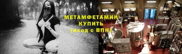 прущие грибы Верхний Тагил