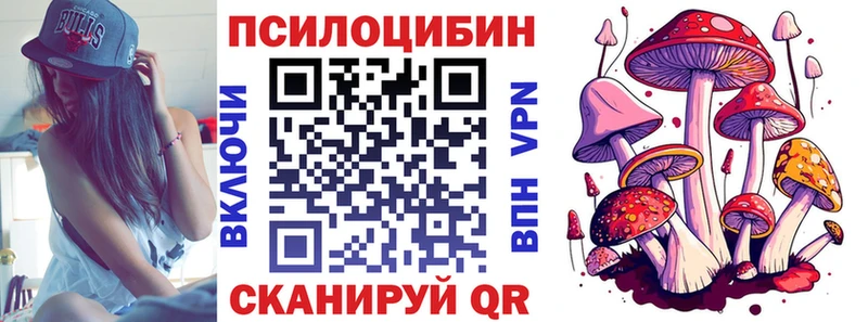 где найти   Балашиха  Галлюциногенные грибы Cubensis 
